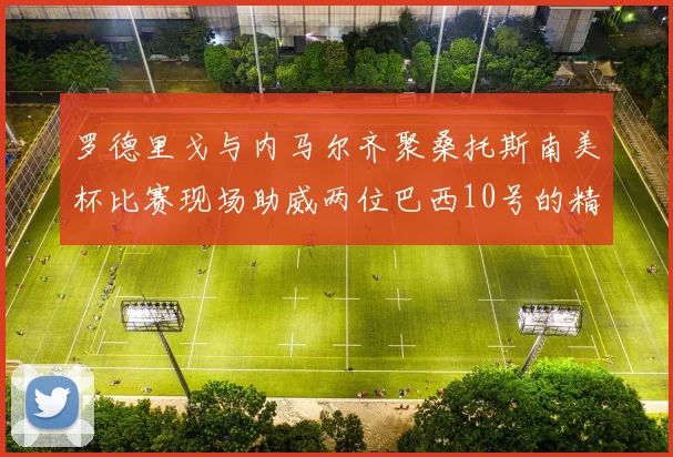 罗德里戈与内马尔齐聚桑托斯南美杯比赛现场助威两位巴西10号的精彩时刻
