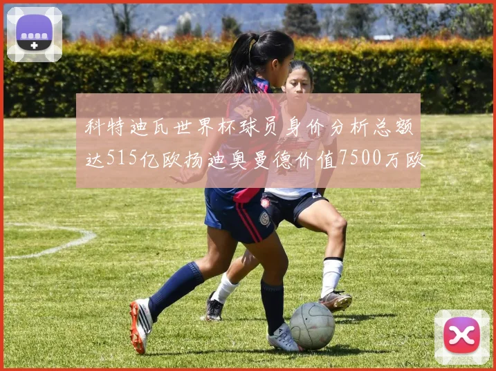 科特迪瓦世界杯球员身价分析总额达515亿欧扬迪奥曼德价值7500万欧